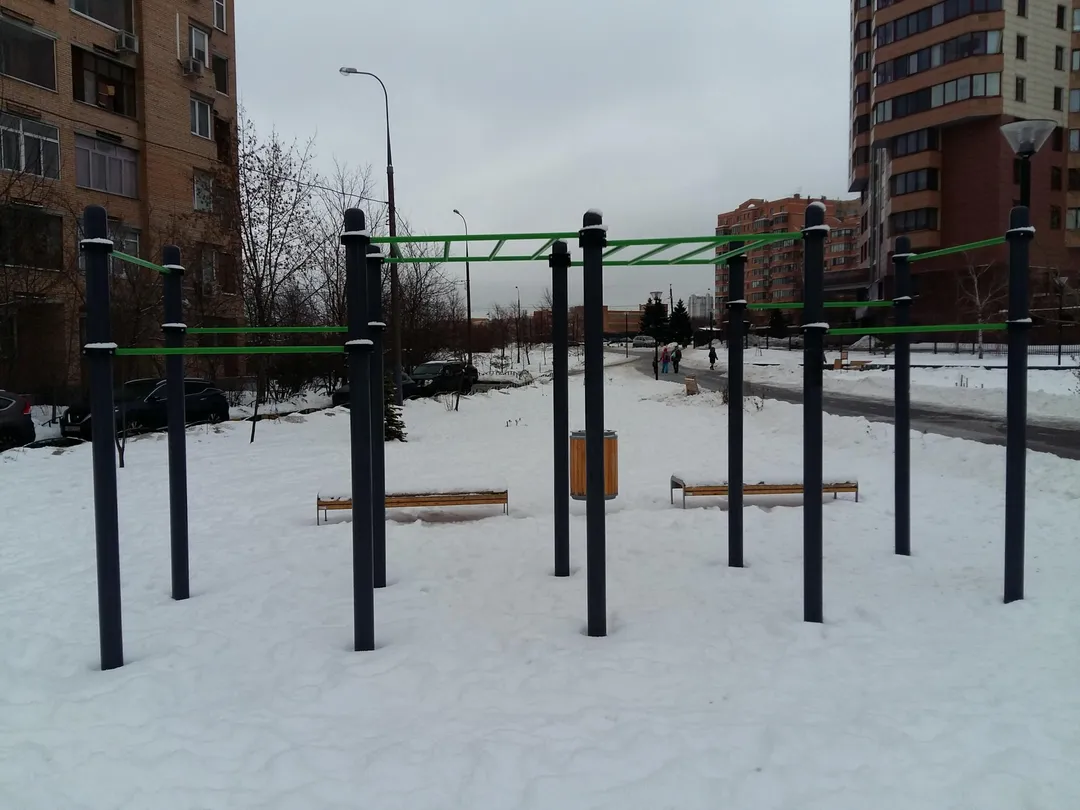 Бруси на майданчику Calisthenics Park at улица Удальцова, Москва #wp2020 – фото 2 з 7