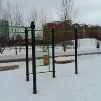 Calisthenics Park at улица Удальцова, Москва #wp2020 - thumbnail 5