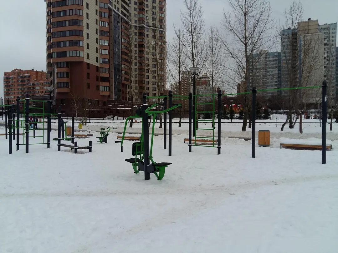 Турнік на майданчику Calisthenics Park at улица Удальцова, Москва #wp2020 – фото 1 з 7