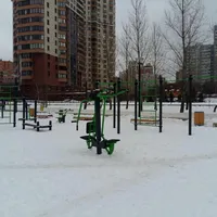 Calisthenics Park at улица Удальцова, Москва #wp2020 - thumbnail 1