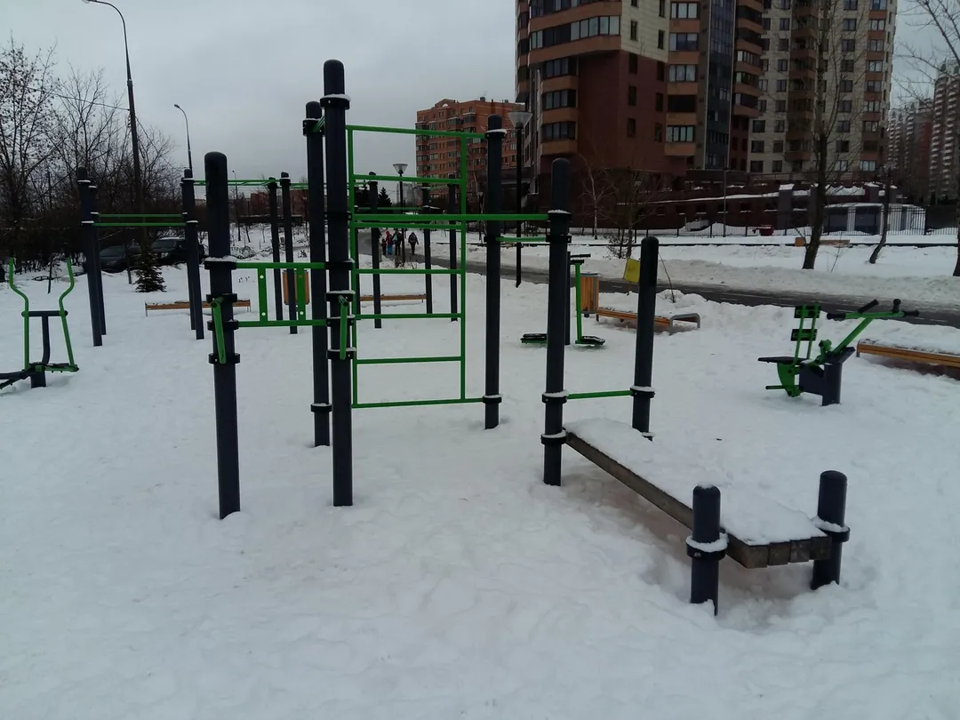Шведська стінка на майданчику Calisthenics Park at улица Удальцова, Москва #wp2020 – фото 4 з 7