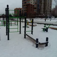 Calisthenics Park at улица Удальцова, Москва #wp2020 - thumbnail 4