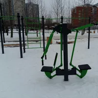 Calisthenics Park at улица Удальцова, Москва #wp2020 - thumbnail 6