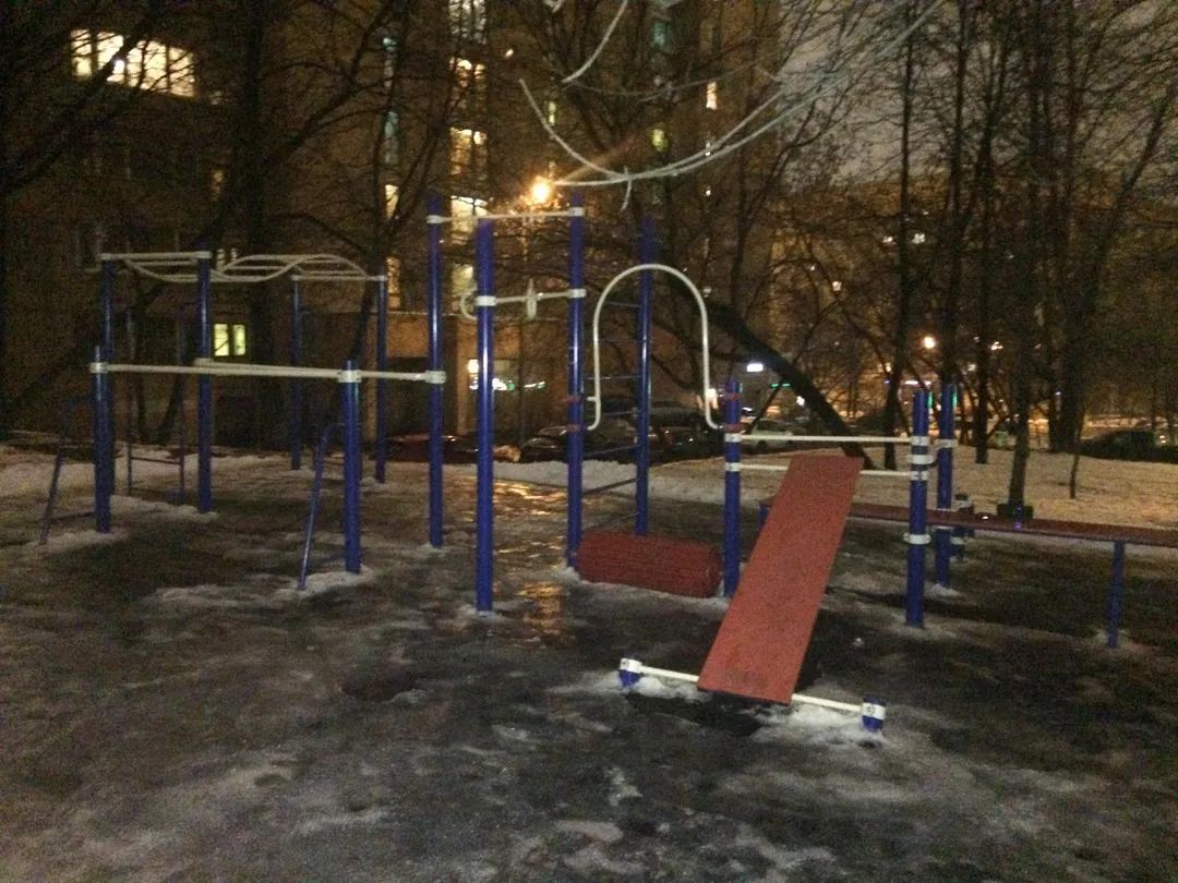 Spalier la Calisthenics Park at улица Гвоздева, Москва – fotografia 4 din 4