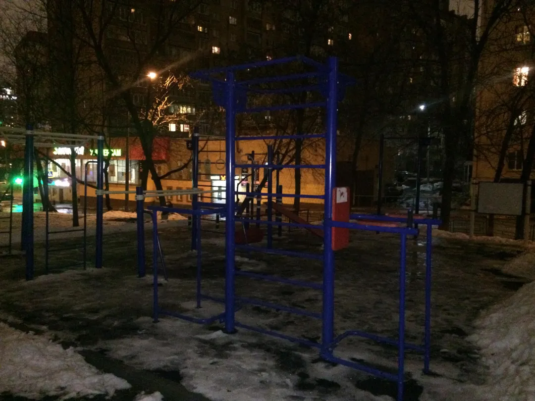 Monkey Bars la Calisthenics Park at улица Гвоздева, Москва – fotografia 3 din 4