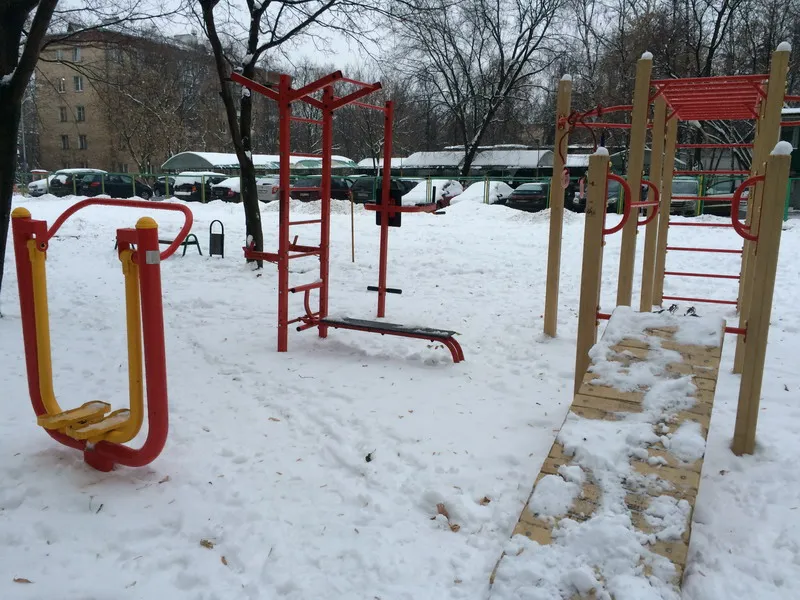 Spalier la Calisthenics Park at улица Менжинского, Москва – fotografia 3 din 3