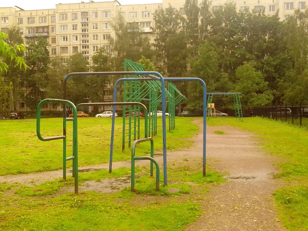 Monkey bar presso Calisthenics Park at Серебристый бульвар, Санкт-Петербург – foto 3 di 5