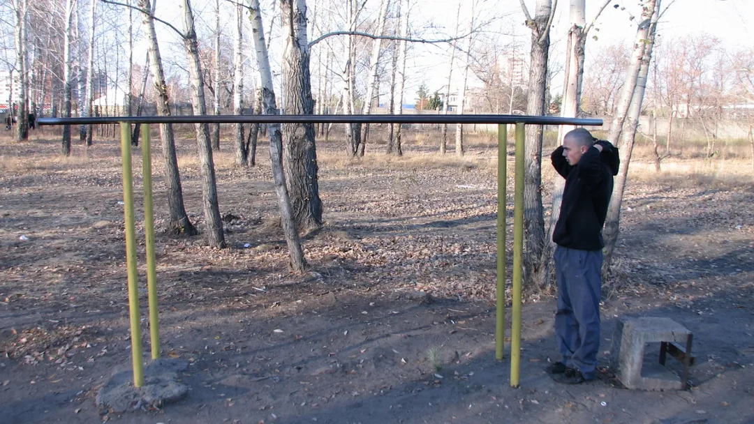 Monkey bar presso Calisthenics Park at Мультиспортивная трасса, Омск – foto 3 di 3