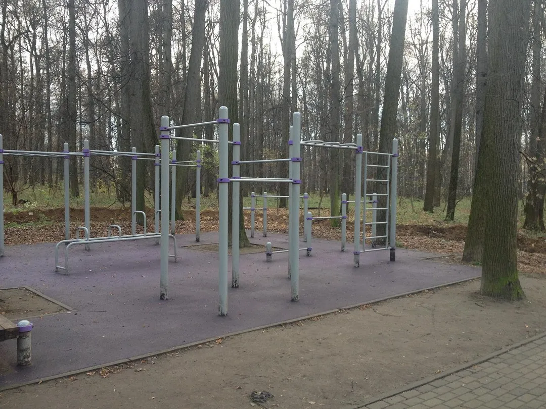 Barras de Mono en Outdoor Gym in район Филёвский Парк, Москва – foto 3 de 3