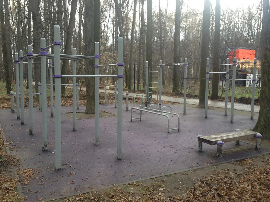 Barra de Dominadas en Outdoor Gym in район Филёвский Парк, Москва – foto 1 de 3