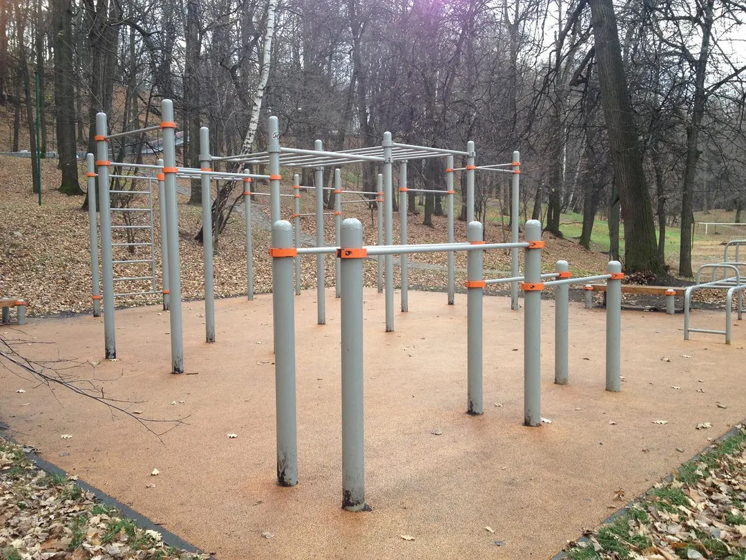 Barres de singe à Calisthenics Park at Филёвская набережная, Москва #wp2038 – photo 3 sur 4
