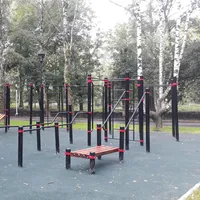 Calisthenics Park at Берёзовая аллея, Москва - thumbnail 1