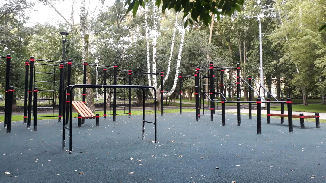 Bară de flotări la Calisthenics Park at Берёзовая аллея, Москва – fotografia 2 din 6