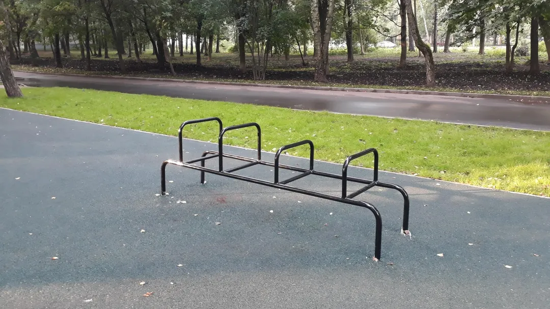 Monkey Bars la Calisthenics Park at Берёзовая аллея, Москва – fotografia 4 din 6