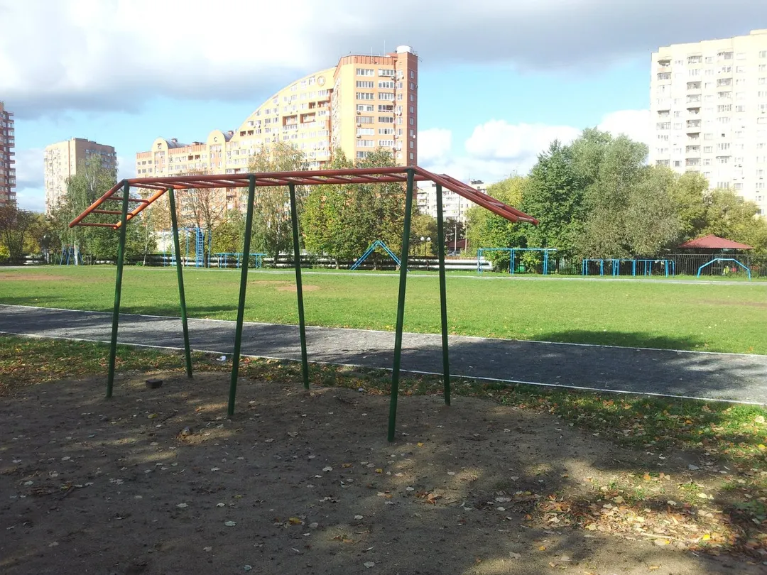 Parallel Gym Bars at Calisthenics Park at Куркинское шоссе, Химки – photo 7 of 12