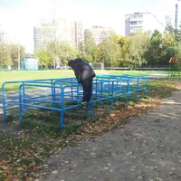 Calisthenics Park at Куркинское шоссе, Химки - thumbnail 9