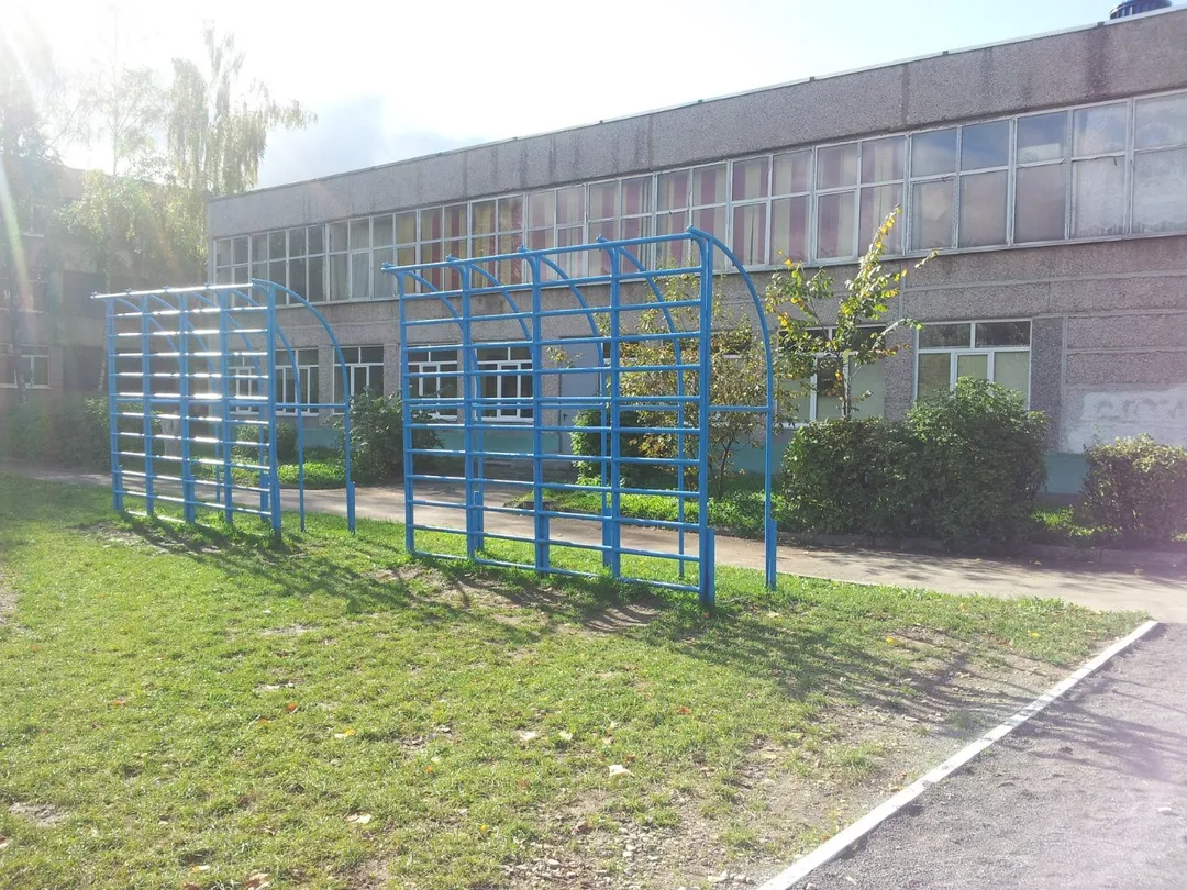 Pull Up Bar at Calisthenics Park at Куркинское шоссе, Химки – photo 6 of 12