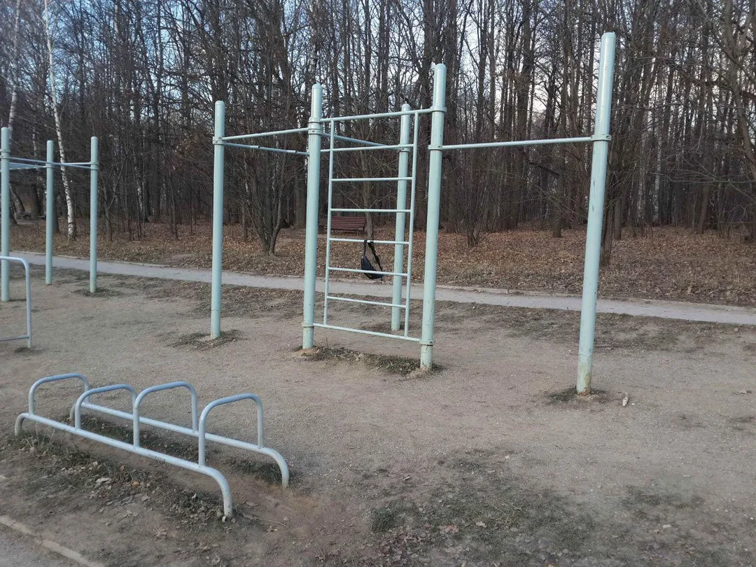 Бруси на майданчику Calisthenics Park at Севастопольский проспект, Москва – фото 2 з 4