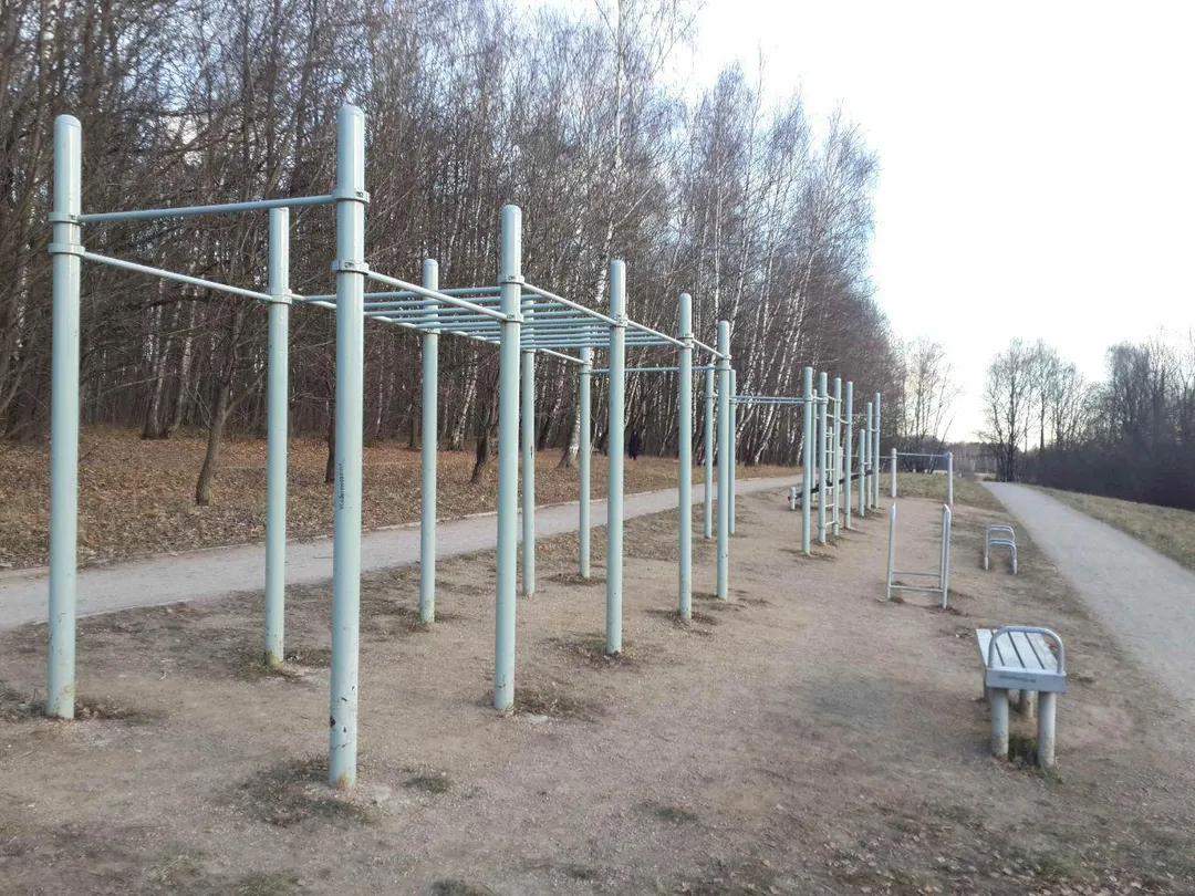 Шведська стінка на майданчику Calisthenics Park at Севастопольский проспект, Москва – фото 4 з 4