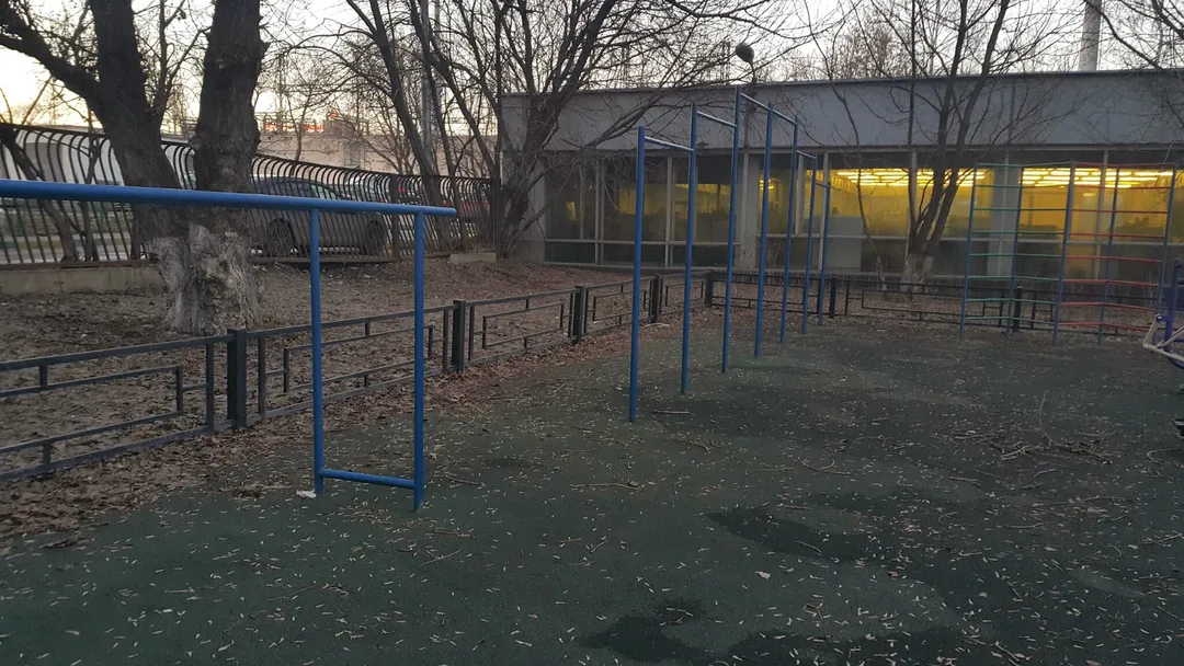 Barres de singe à Calisthenics Park at Береговой проезд, Москва – photo 3 sur 3
