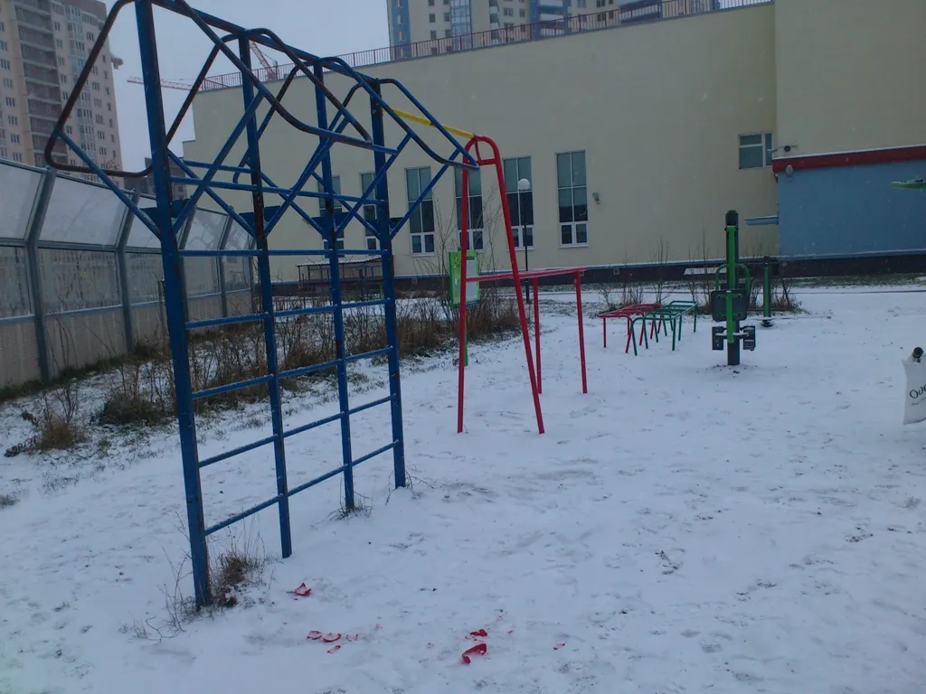 Bară de tracțiuni la Calisthenics Park at Мебельная улица, Санкт-Петербург – fotografia 5 din 5