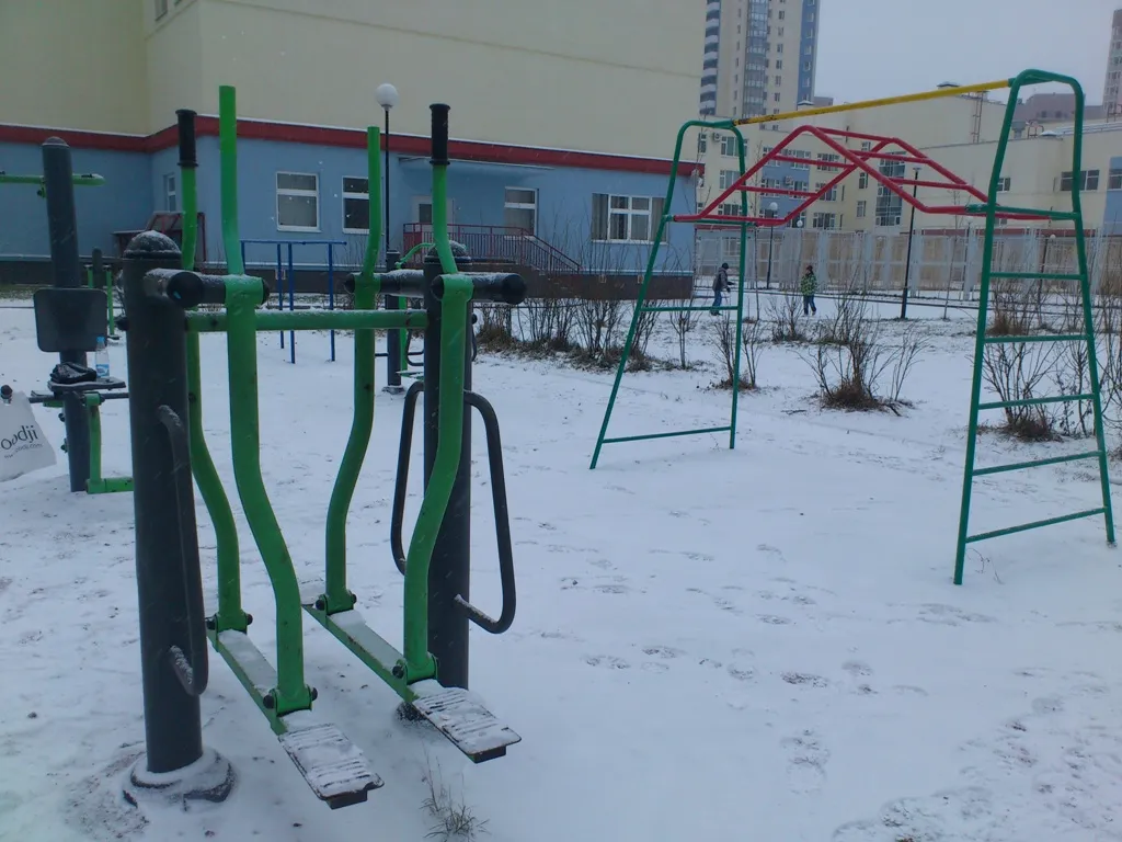 Spalier la Calisthenics Park at Мебельная улица, Санкт-Петербург – fotografia 4 din 5
