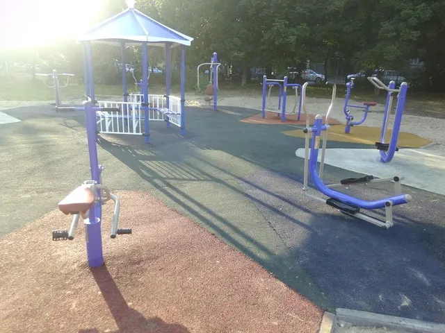 Calisthenics Park at улица Новаторов, городской округ Рязань