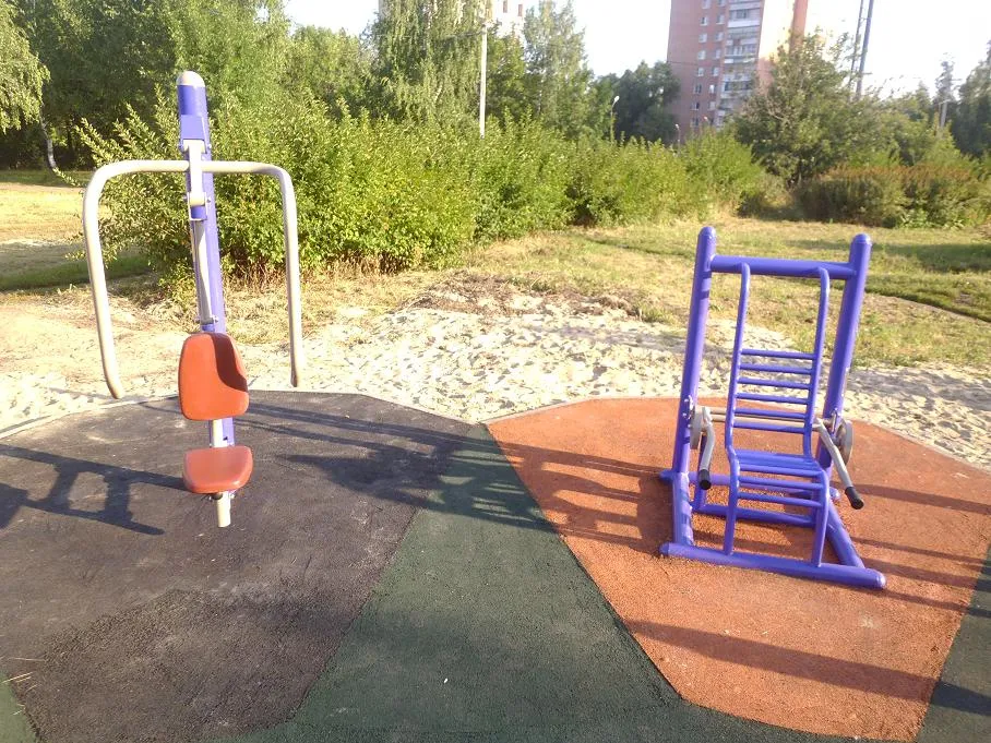 Monkey Bars at Calisthenics Park at улица Новаторов, городской округ Рязань – photo 3 of 7