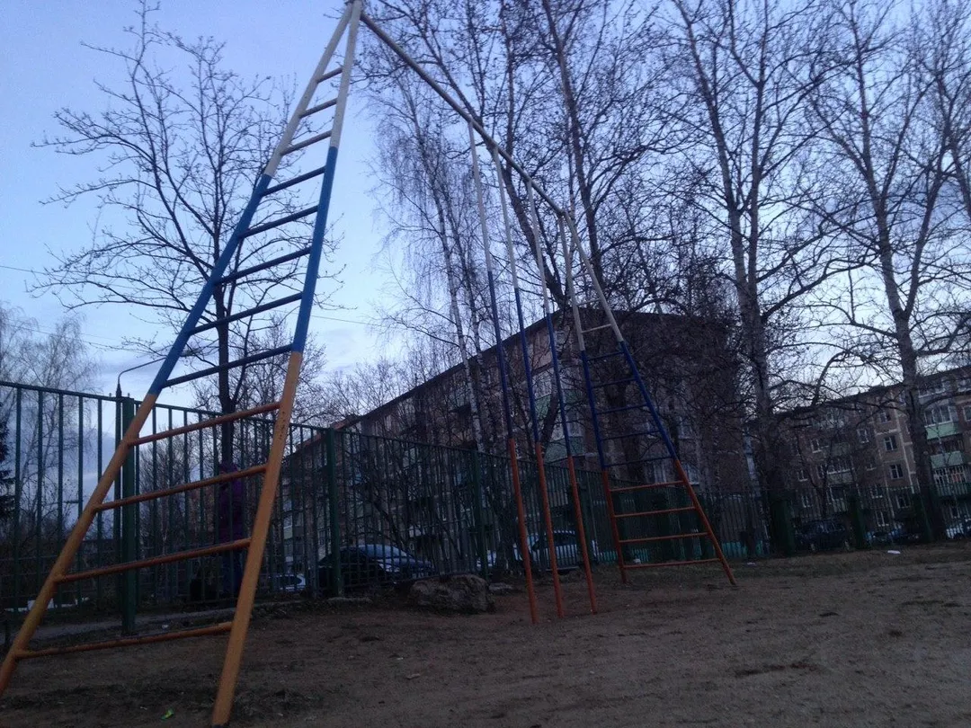 Упори для віджимань на майданчику Outdoor Gym in 2-й микрорайон, Егорьевск – фото 2 з 4