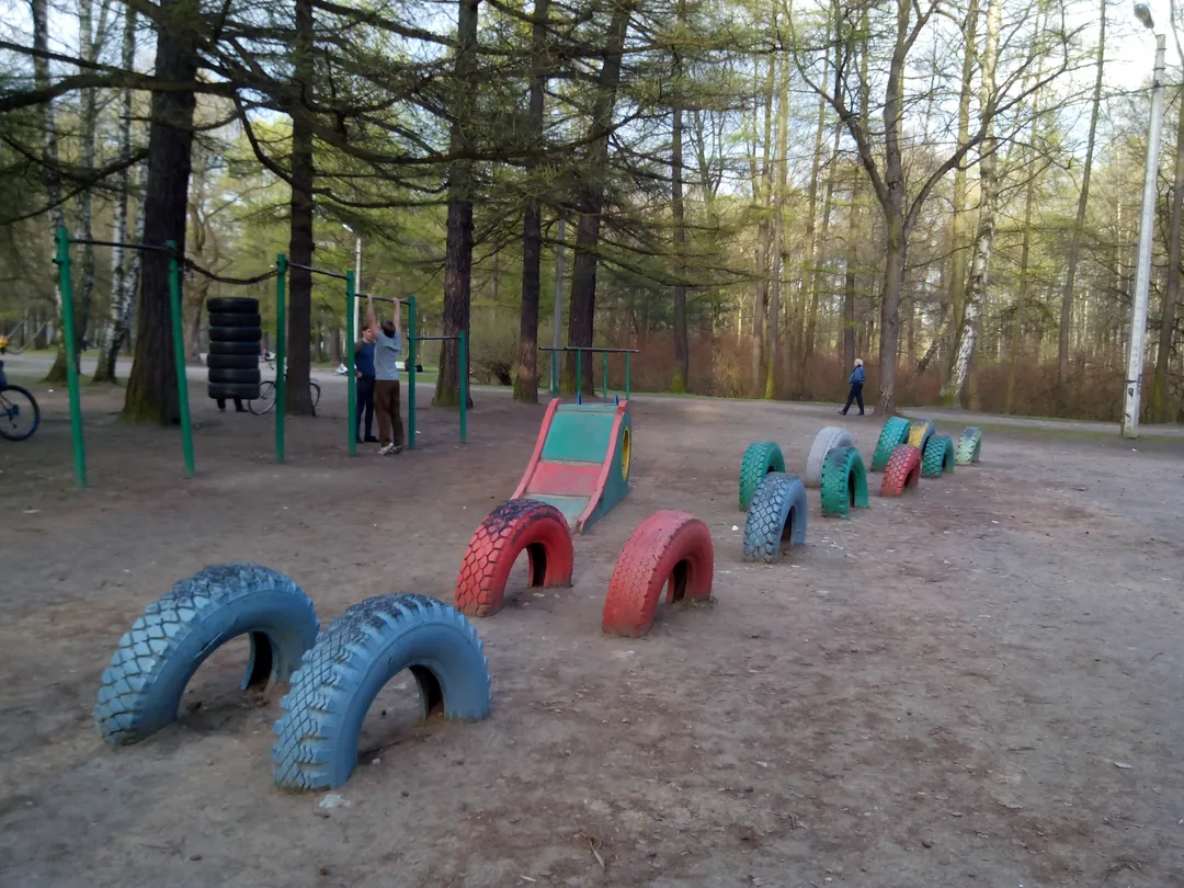 Bare paralele la Calisthenics Park at проспект Испытателей, Санкт-Петербург – fotografia 2 din 2
