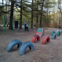 Calisthenics Park at проспект Испытателей, Санкт-Петербург - thumbnail 2