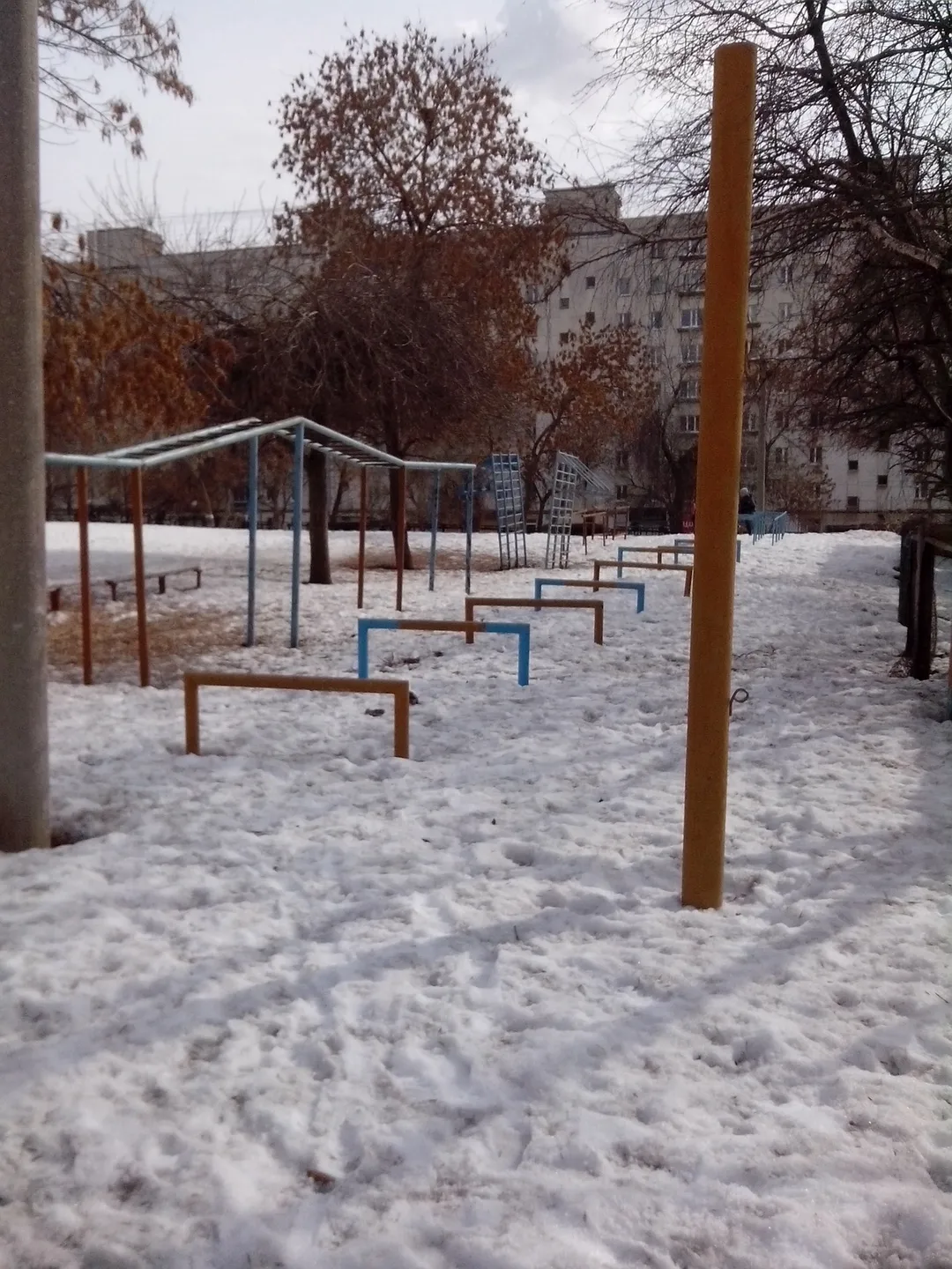 Шведская стенка на площадке Calisthenics Park at улица Достоевского, Уфа – фото 4 из 6