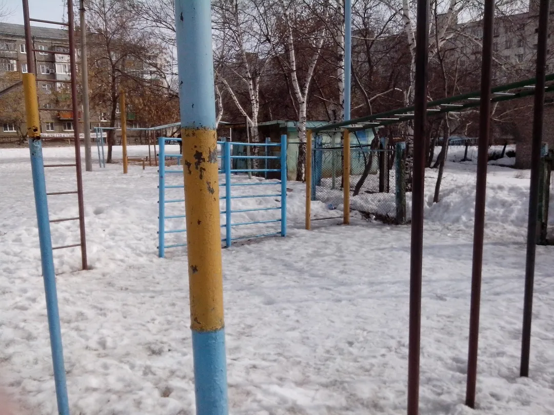 Рукоход на площадке Calisthenics Park at улица Достоевского, Уфа – фото 3 из 6