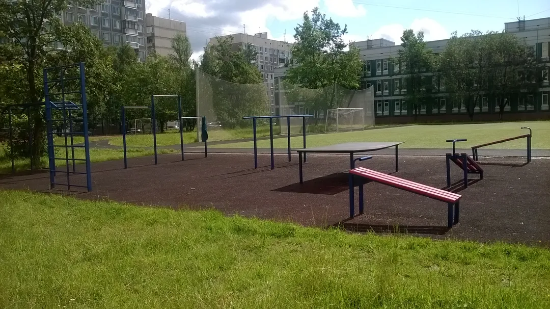 Monkey bar presso Calisthenics Park at проспект Авиаконструкторов, Санкт-Петербург – foto 3 di 3