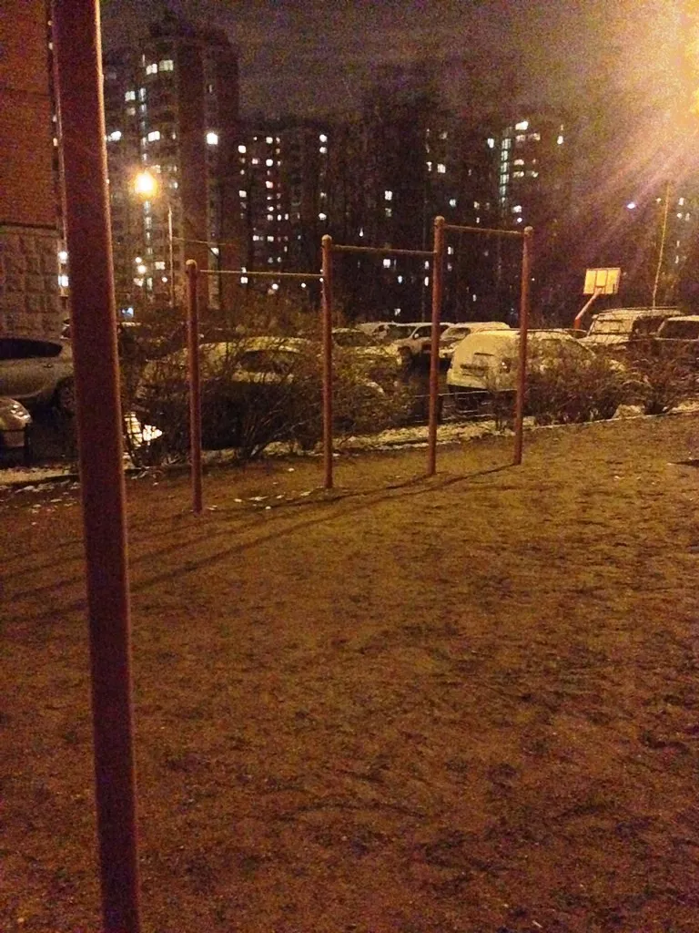 Bară de tracțiuni la Calisthenics Park at 13-я Парковая улица, Москва – fotografia 1 din 3