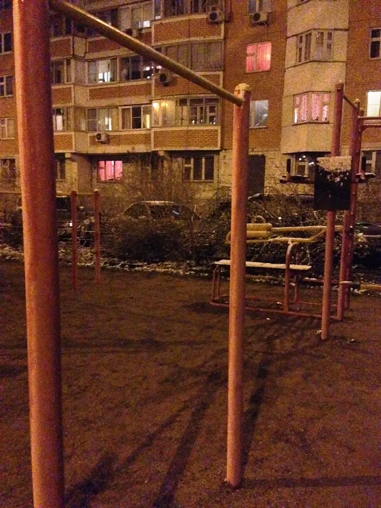 Bară de tracțiuni la Calisthenics Park at 13-я Парковая улица, Москва – fotografia 3 din 3