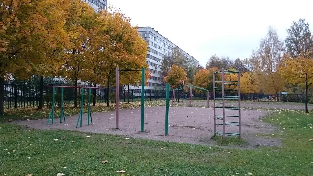 Barren bei Calisthenics Park at улица Демьяна Бедного, Санкт-Петербург – Foto 2 von 2
