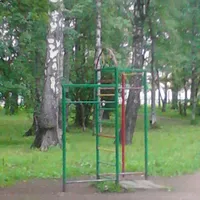Calisthenics Park at улица Софьи Ковалевской, Москва - thumbnail 1