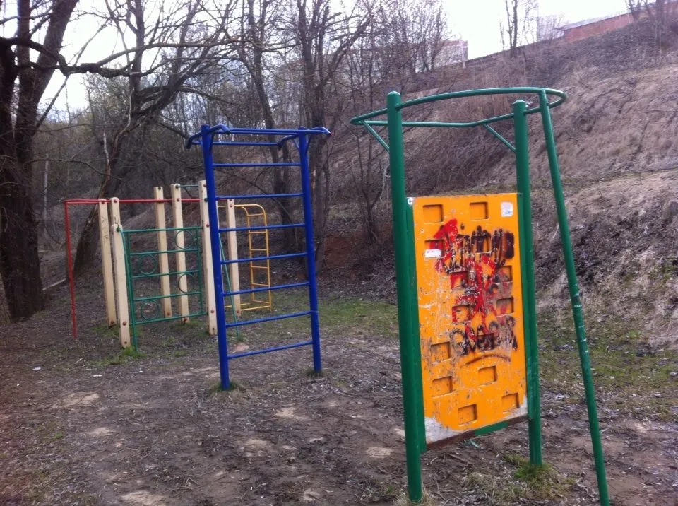 Espalier à Calisthenics Park at улица Лобачевского, Москва #wp2091 – photo 3 sur 3