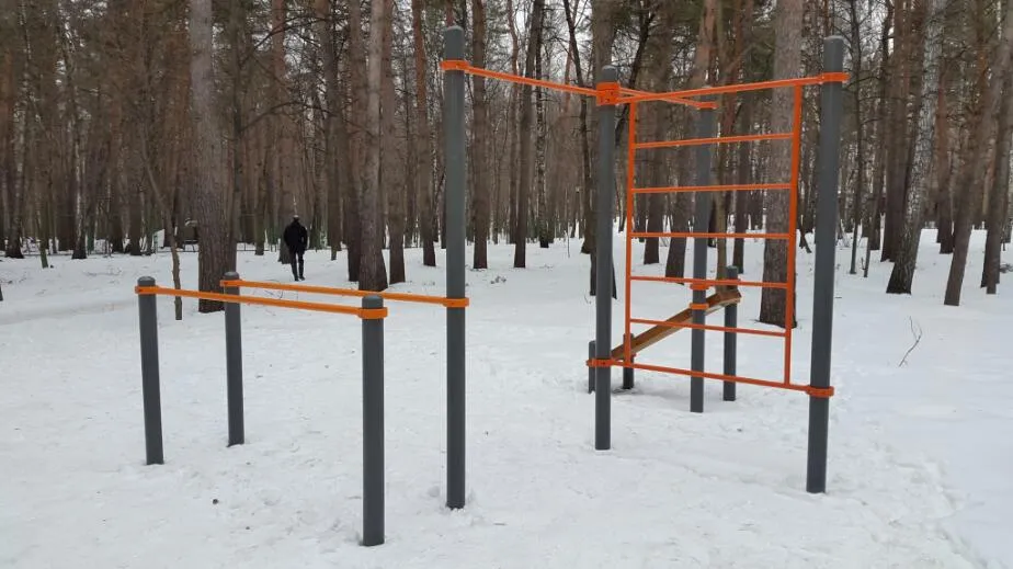 Турнік на майданчику Calisthenics Park at улица Гамалеи, Москва – фото 1 з 2