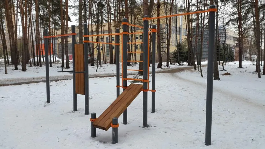 Бруси на майданчику Calisthenics Park at улица Гамалеи, Москва – фото 2 з 2