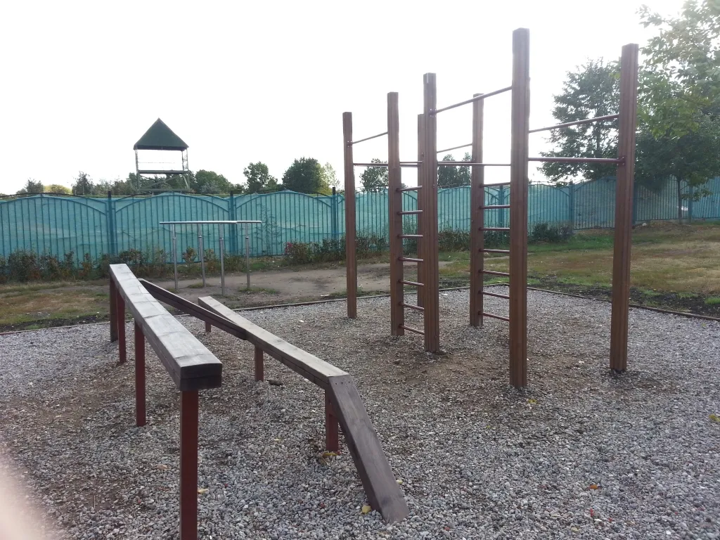 Bârnă de echilibru la Calisthenics Park at улица Гурьянова, Москва – fotografia 3 din 5