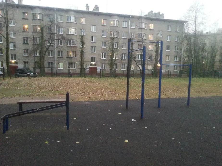 Bară de tracțiuni la Calisthenics Park at улица Ленсовета, Санкт-Петербург – fotografia 1 din 1