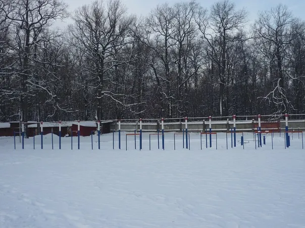 Calisthenics Park at Вишнёвая улица, городской округ Пенза