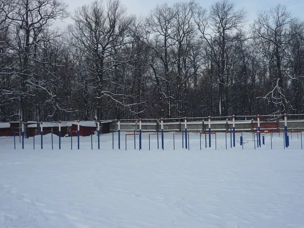 Турнік на майданчику Calisthenics Park at Вишнёвая улица, городской округ Пенза – фото 1 з 3