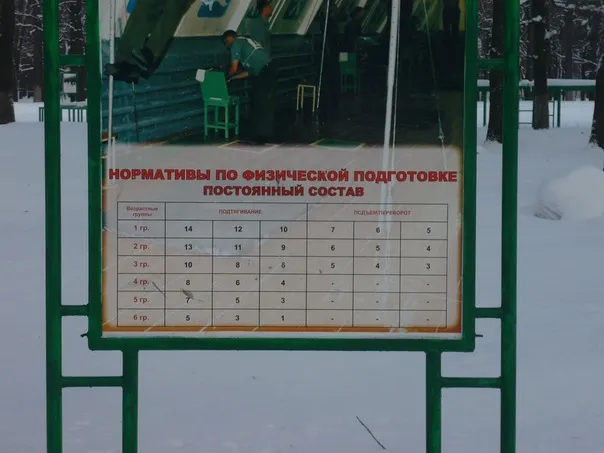 Рукохід на майданчику Calisthenics Park at Вишнёвая улица, городской округ Пенза – фото 3 з 3