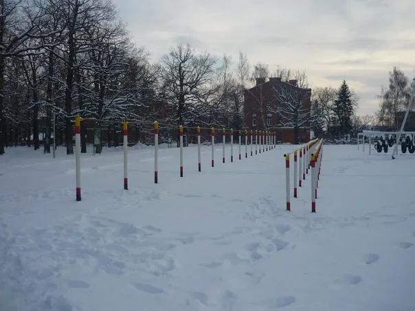 Бруси на майданчику Calisthenics Park at Вишнёвая улица, городской округ Пенза – фото 2 з 3