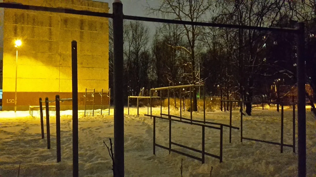Monkey Bars la Calisthenics Park at Северный проспект, Санкт-Петербург #wp2109 – fotografia 3 din 3