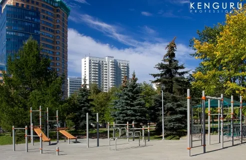 Monkey Bars la Calisthenics Park at проспект Вернадского, Москва #wp2111 – fotografia 3 din 3