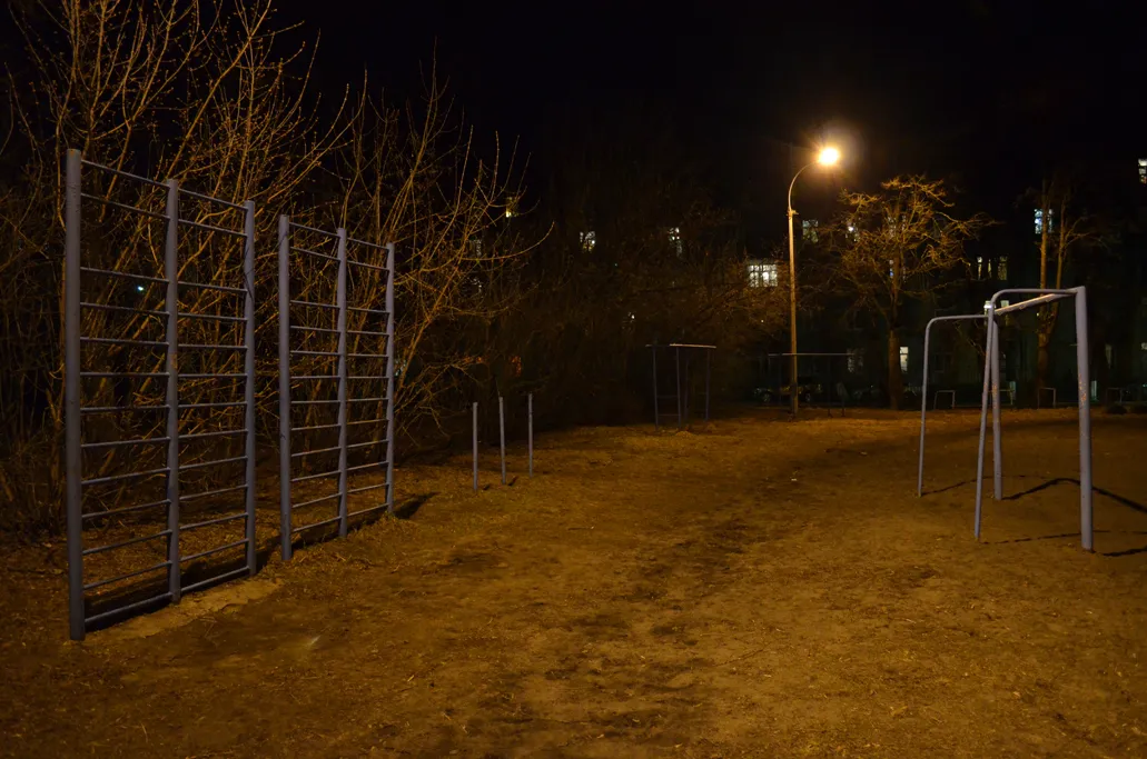 Wall Bars at Calisthenics Park at улица Ломоносова, Жуковский – photo 8 of 10